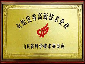 火炬优秀高新技术企业